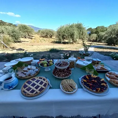 L'albero Della Manna Alojamento de Acomodação e Pequeno-almoço
