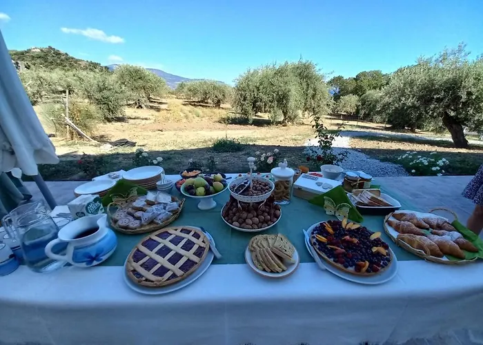 L'albero Della Manna Bed & Breakfast