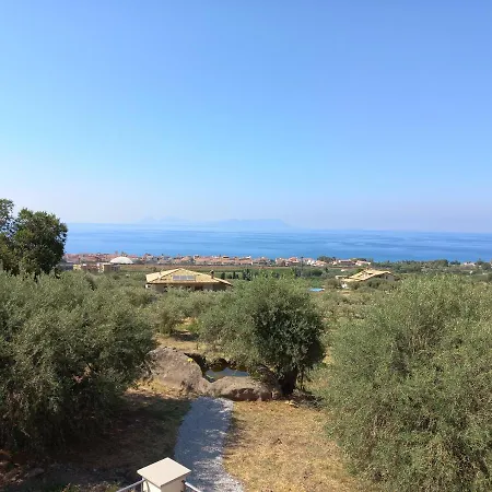 L'albero Della Manna