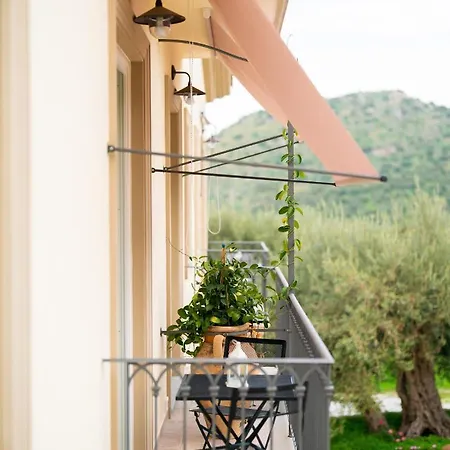 L'albero Della Manna