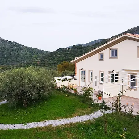 L'albero Della Manna
